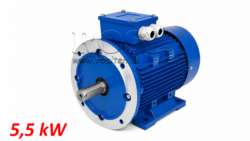 5.5KW-ΗΛΕΚΤΡΙΚΟΣ ΚΙΝΗΤΗΡΑΣ MS132S-4_1450RPM 3ΦΑΣΙΚΟΣ ΠΟΔΙΑ+FLANGE-B3B5