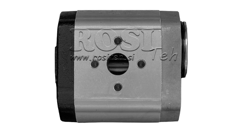 ΥΔΡΑΥΛΙΚΗ ΑΝΤΛΙΑ 20C16X066 ΠΙΣΩ GR.2 16 CC ΔΕΞΙΑ