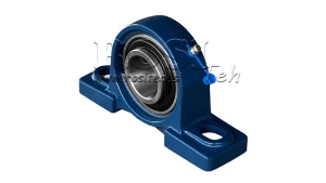 UCP-ΡΟΥΛΕΜΑΝ