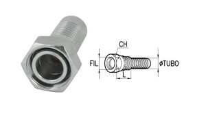 ΓΥΝΑΙΚΕΙΕΣ-ΣΥΝΔΕΣΕΙΣ-DKOS