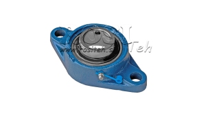 UCFL-ΡΟΥΛΕΜΑΝ