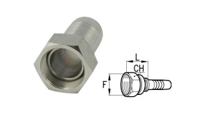 BSP-ΘΗΛΥΚΕΣ-ΣΥΝΔΕΣΕΙΣ