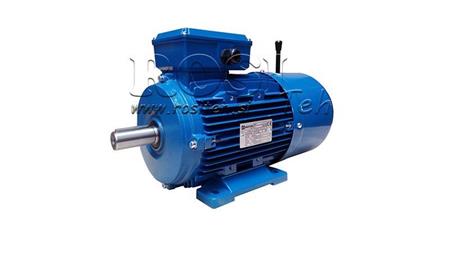 7.5kW-SILNIK ELEKTRYCZNY Z HAMULCEM MSH132M-4_1450rpm 3Fazy stopy-B3