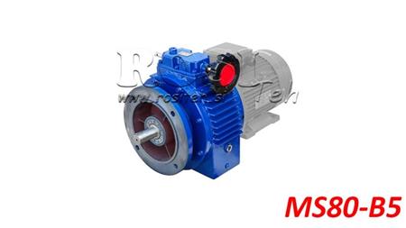 UDL VARIABEL REDUKTOR FÖR EL-MOTOR MS80-B5